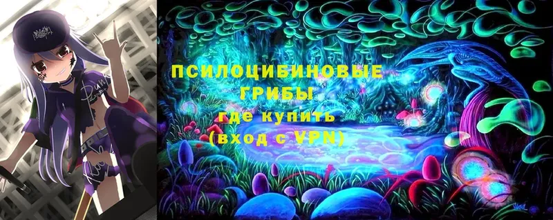 Псилоцибиновые грибы Cubensis  Ноябрьск 